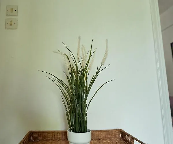 μονοκατοικία στο κέντρο με τζάκι *